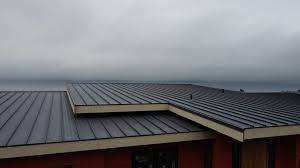 Roof Coating Services in Bohemia, NY